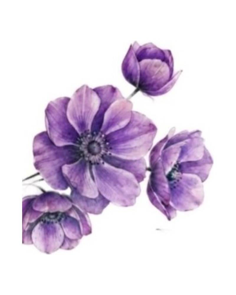 Purple Bloom — wolny wzór tatuażu