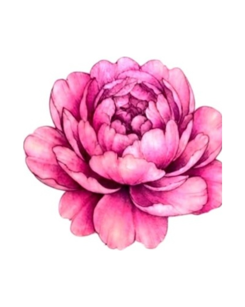 Pink Peony — wolny wzór tatuażu